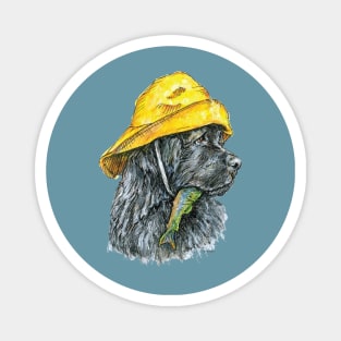 Newfoundland Dog in Sou'wester Hat with Fish Magnet